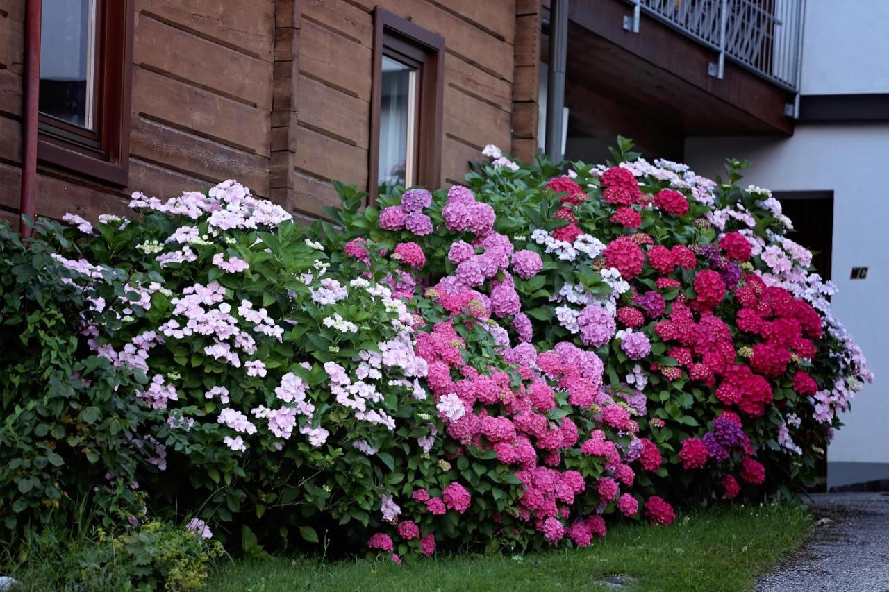 Ferienwohnung Landhaus Danita Bodensdorf Exterior foto